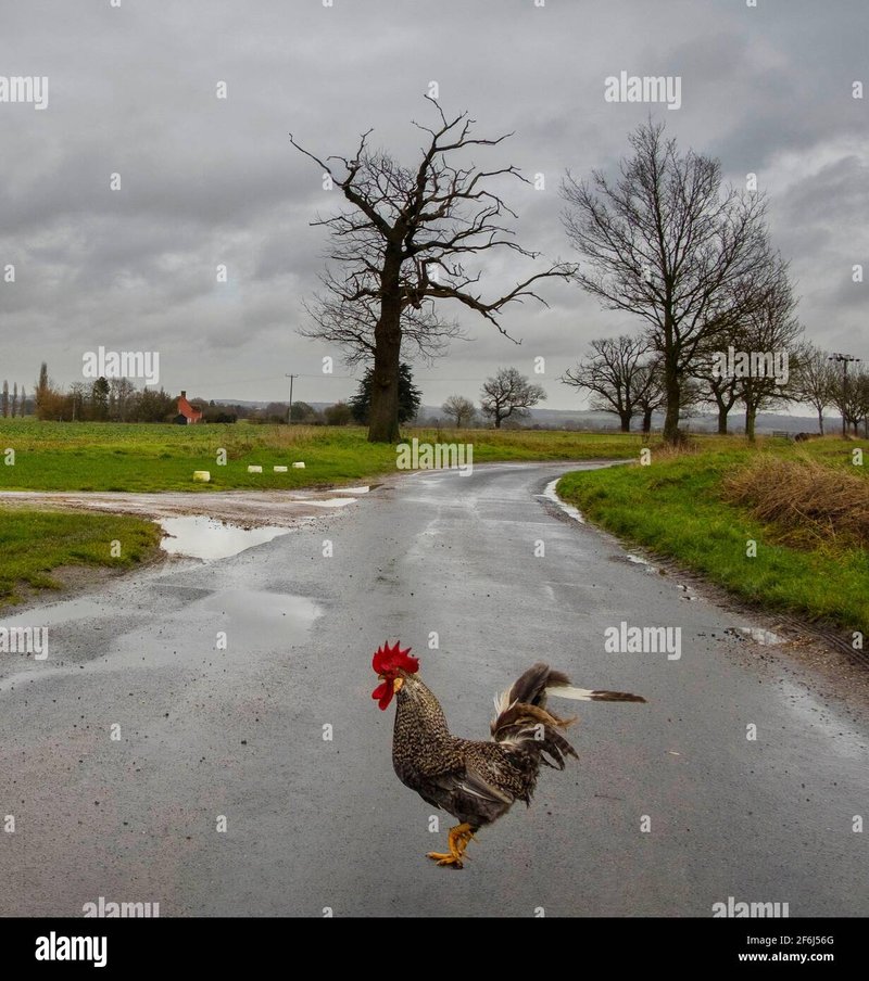 Descubre los secretos detrás del juego de azar Chicken Road en España