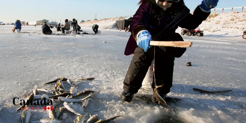 Introduction to ice fishing live casino